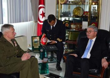 Tunisie - Africom : Coop&eacute;ration militaire, s&eacute;curisation des fronti&egrave;res et lutte antiterroriste