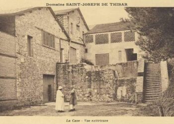 Nostalgies tunisiennes : Le bon vieux temps des vins de Thibar