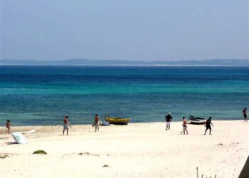 Bizerte - Ras Angela : 45 maisons d'été anarchiques détruites