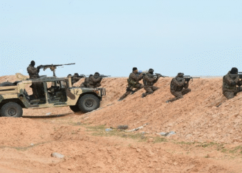 Frontières : Une patrouille conjointe chasse un groupe armé libyen