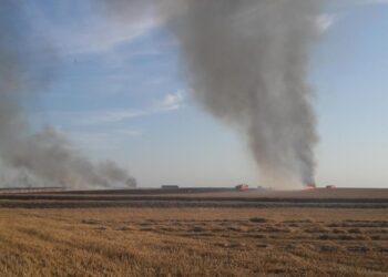 Le Kef : 200 hectares de céréales ravagés par le feu