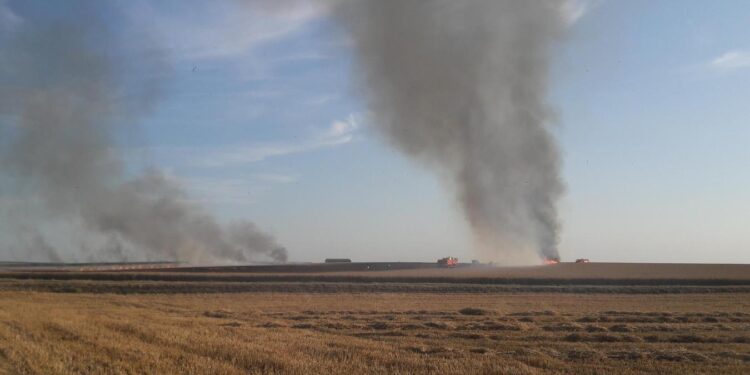 Le Kef : 200 hectares de céréales ravagés par le feu