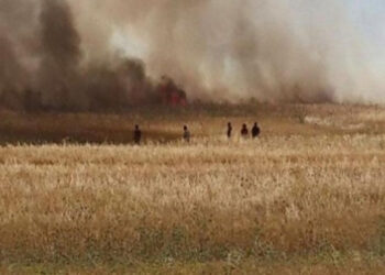 Incendies : L'UGTT exige des explications et pointe du doigt l'ALECA