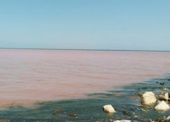 Sfax : A Sidi Mansour, l'eau de mer tourne au rouge