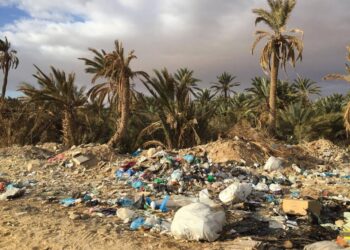 En pleine saison touristique, les ordures jonchent la ville de Tozeur !