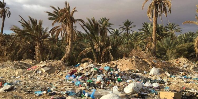 En pleine saison touristique, les ordures jonchent la ville de Tozeur !