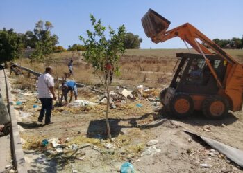 Campagne de nettoyage de la zone du cirque romain de Carthage