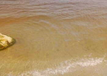 A Carthage, la mer change de couleur, les citoyens appelés à l'éviter