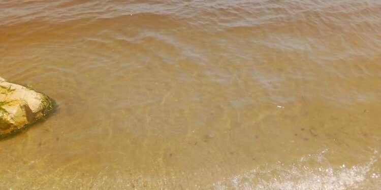 A Carthage, la mer change de couleur, les citoyens appelés à l'éviter