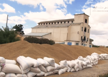 Céréales : La Tunisie échoue à stocker sa récolte exceptionnelle !