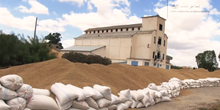 Céréales : La Tunisie échoue à stocker sa récolte exceptionnelle !