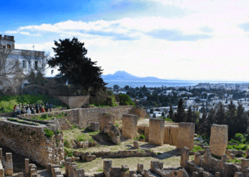 Au site archéologique de Carthage, dix constructions anarchiques démolies