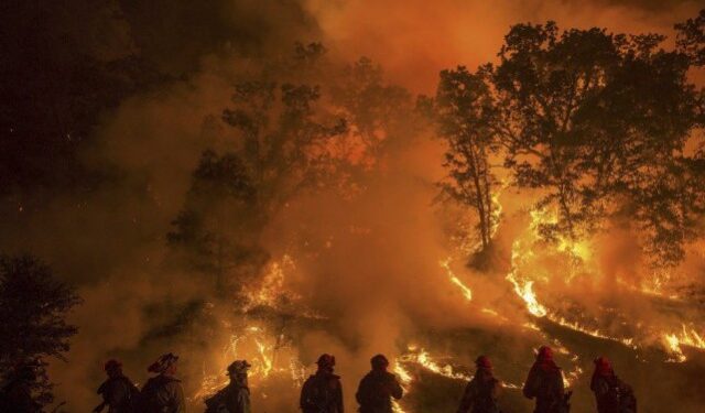 Bizerte : L’Armée intervient pour maîtriser un incendie dans une forêt