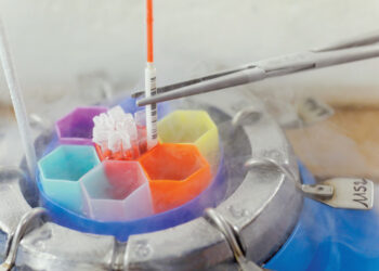 Aziza Othmana : Première naissance vivante après congélation ovocytaire