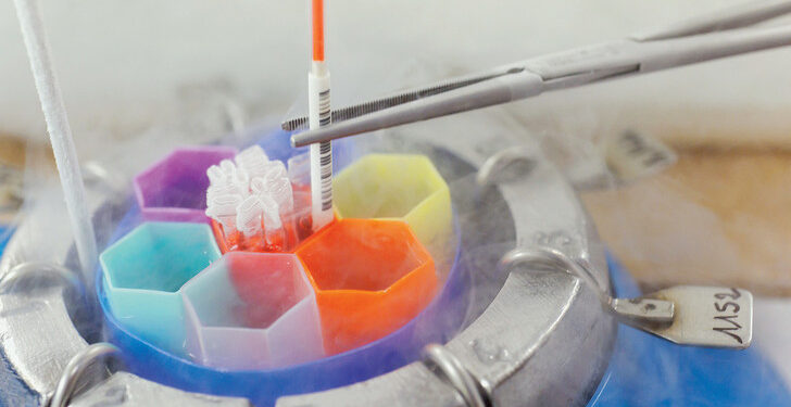 Aziza Othmana : Première naissance vivante après congélation ovocytaire