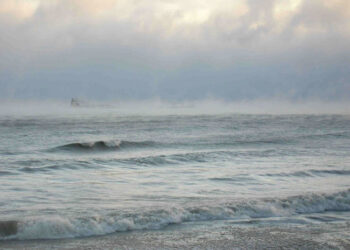 Monastir : Une fuite cause le changement de la couleur de la mer