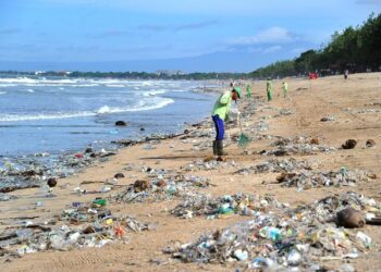 René Trabelsi : "La situation environnementale, premier ennemi du tourisme"