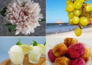 Variations estivales : Sorbets, jasmin, raisins et figues de Barbarie