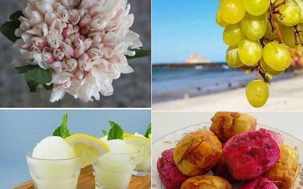 Variations estivales : Sorbets, jasmin, raisins et figues de Barbarie