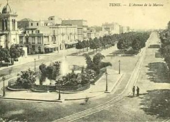 De Saint-Antoine à Saint-Vincent : Une cathédrale dans son avenue