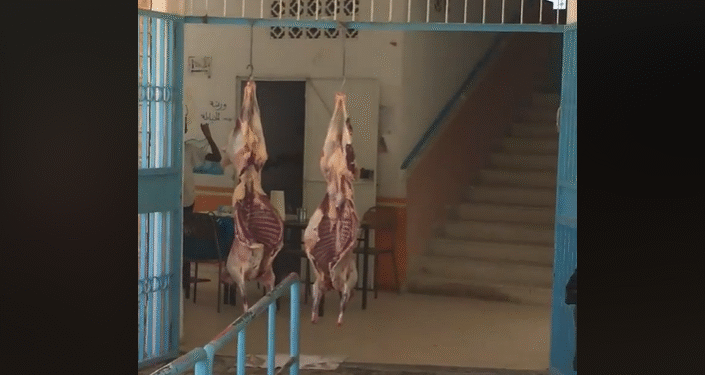 A Gabès, une école transformée... en abattoir !