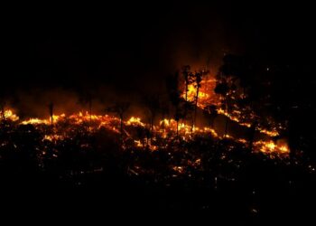 L'Amazonie, poumon de la terre, brûle !