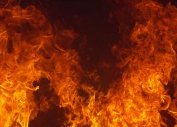 Tunisie : 3 mille hectares perdus chaque année à cause des incendies