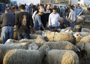 Aid El Kebir : Souvenirs d'Errahba de Tunis