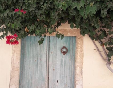 A Djerba : Erriadh, une ville d'art et des portes au charme subtil