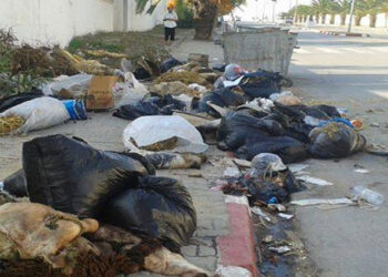 Aïd : La municipalité de Tunis se prépare au dilemme des peaux de moutons