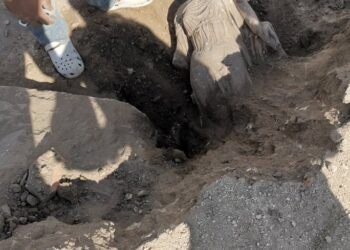 Nabeul : Nouvelle découverte archéologique à El Maamoura