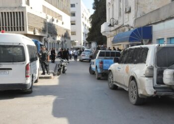 Contrebande : 29 "gros poissons" traduits en justice