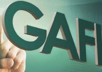 Le GAFI entame une visite en Tunisie