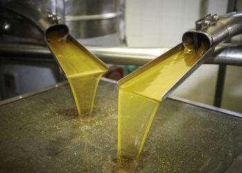 La Tunisie espère devenir deuxième producteur mondial d’huile d’olive