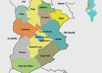 Le chef de la Garde nationale de Hidra tué dans un échange de tirs avec des terroristes