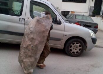 Tunisie : 8 mille "barbéchas" contribuent au recyclage du plastique