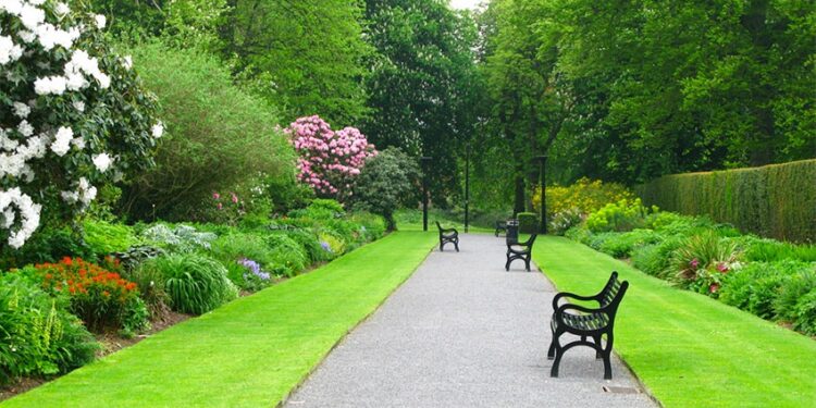 Un plan vert pour faire de Tunis une cité-jardin