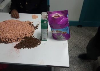 Plus de 14 mille pilules d'ecstasy saisies à Tunis-Carthage