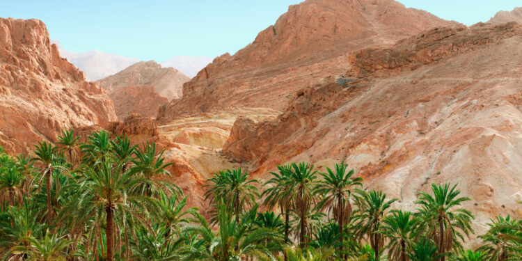 A Tozeur, le taux d'occupation des hôtels a atteint les 90%