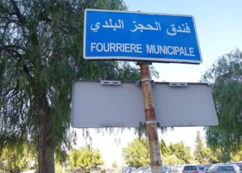 En Tunisie, les bandes du "chenguel" plus puissantes que les trois pouvoirs