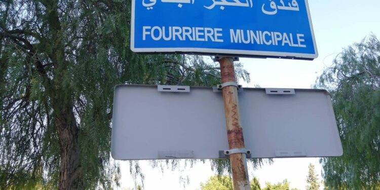 En Tunisie, les bandes du "chenguel" plus puissantes que les trois pouvoirs