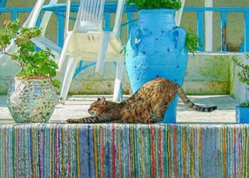 Des vœux à la manière de Pablo Neruda ou comment cueillir l'année entière