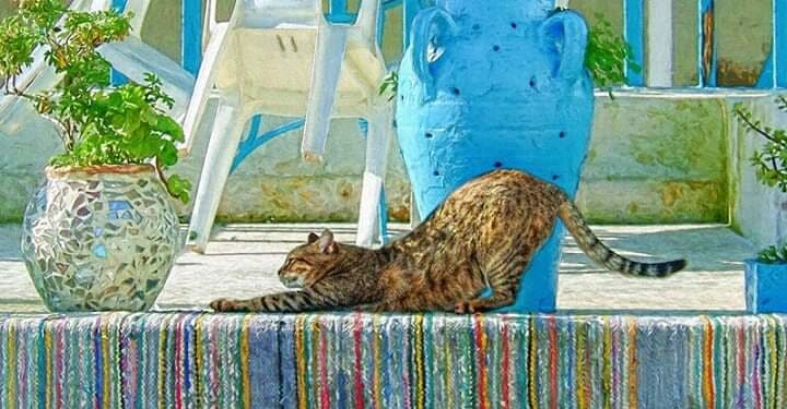 Des vœux à la manière de Pablo Neruda ou comment cueillir l'année entière