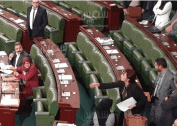 Samia Abbou à Abir Moussi : "Tu es bien une clocharde!"  (vidéo)