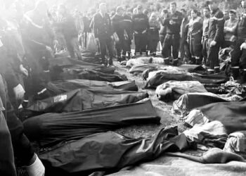 Drame de Béja : L'agence de voyage en situation régulière