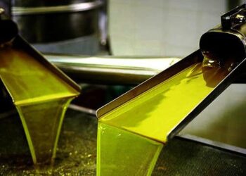 Tunisie : Des conteneurs toxiques pour stocker l’huile d’olive !