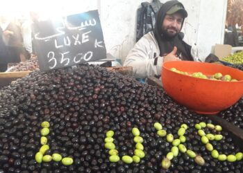 Olives de luxe : Vert, noir et trouvaille!