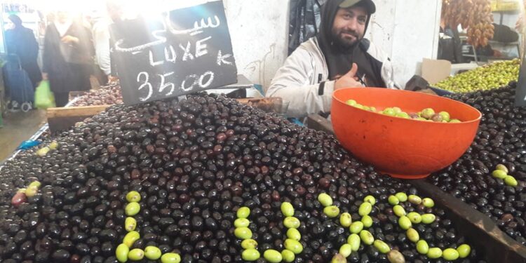 Olives de luxe : Vert, noir et trouvaille!