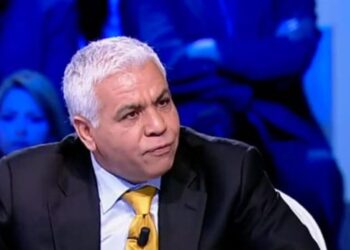 Formation du gouvernement : Safi Said évoque le scénario Youssef Chahed
