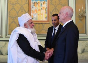 Saied mandaté par les tribus et villes libyennes pour résoudre la crise